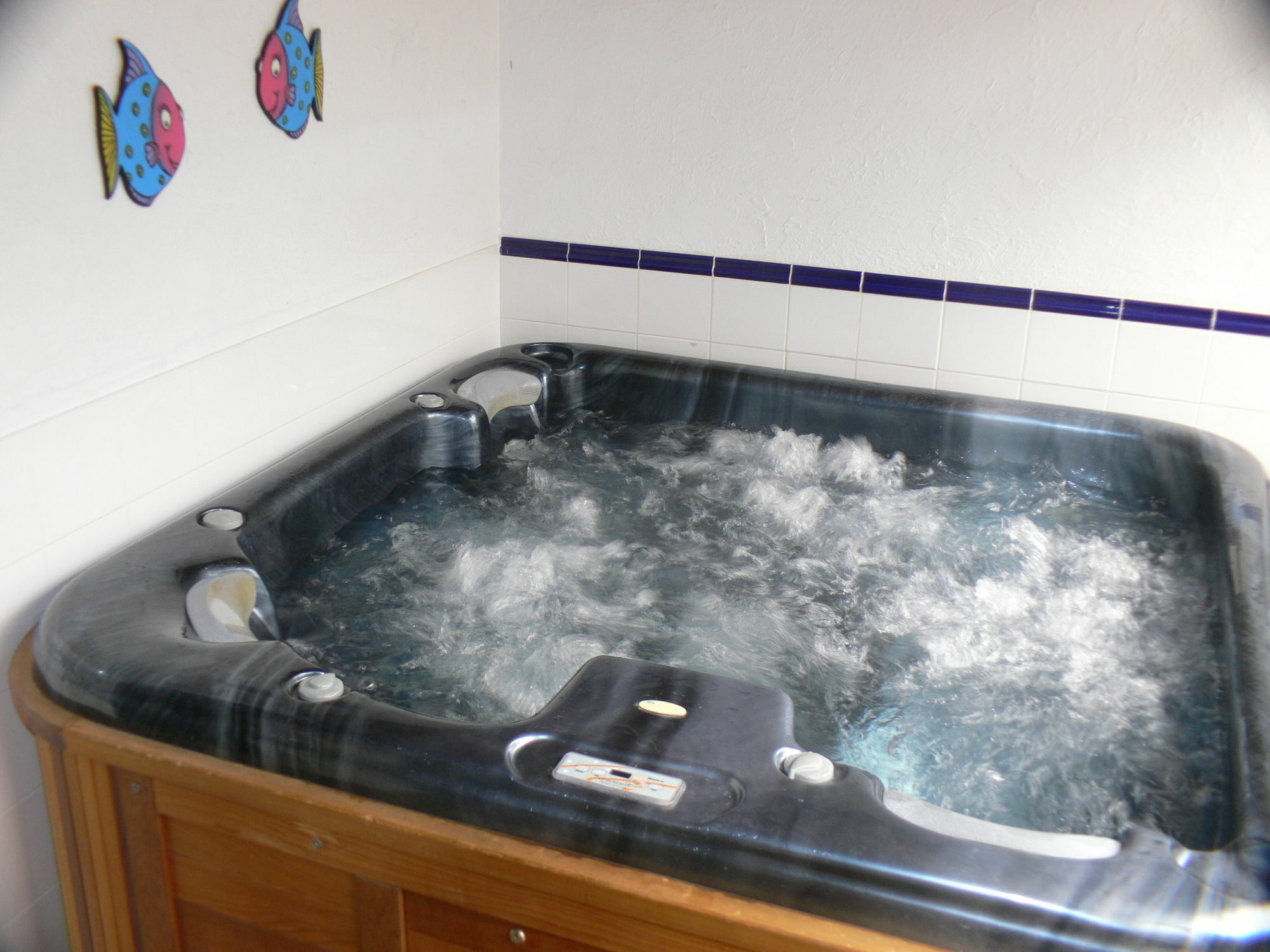 Swiss Chalet Lodge Motel Paihia Zewnętrze zdjęcie