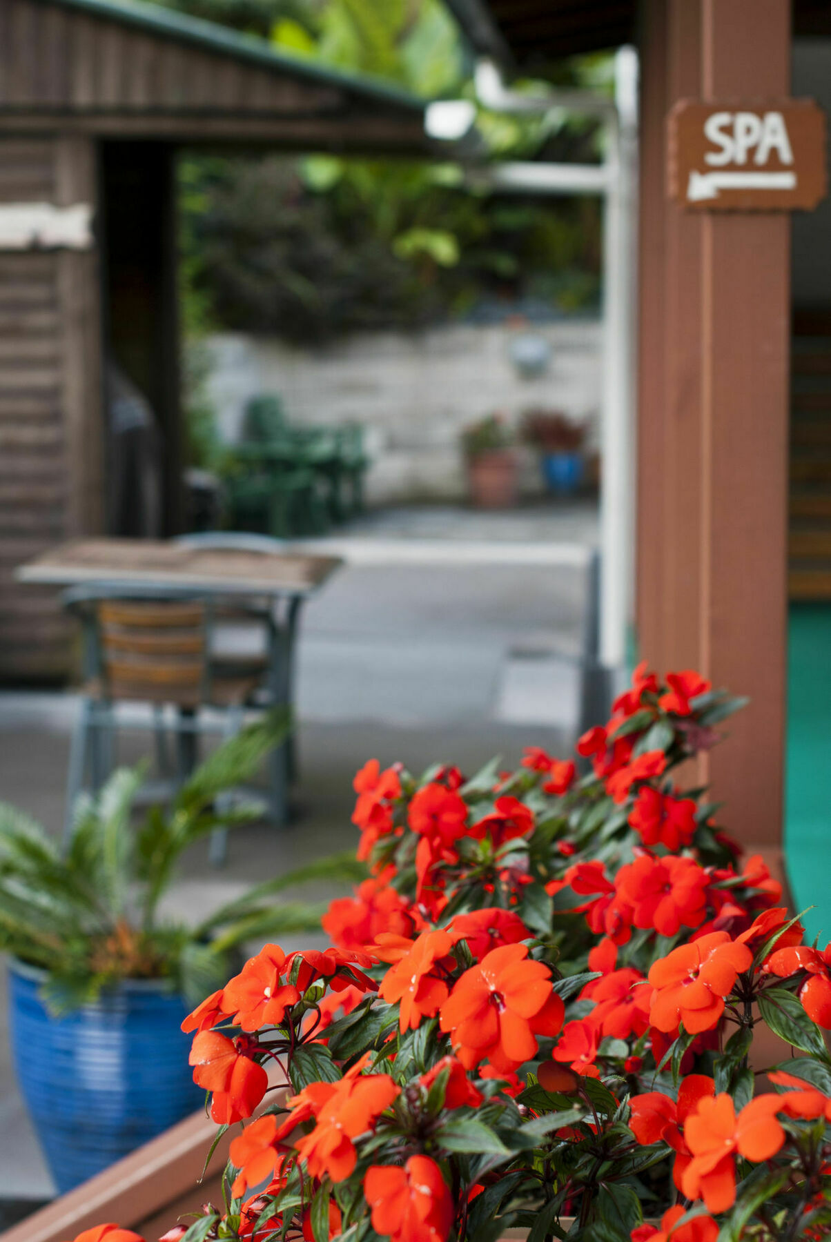 Swiss Chalet Lodge Motel Paihia Zewnętrze zdjęcie