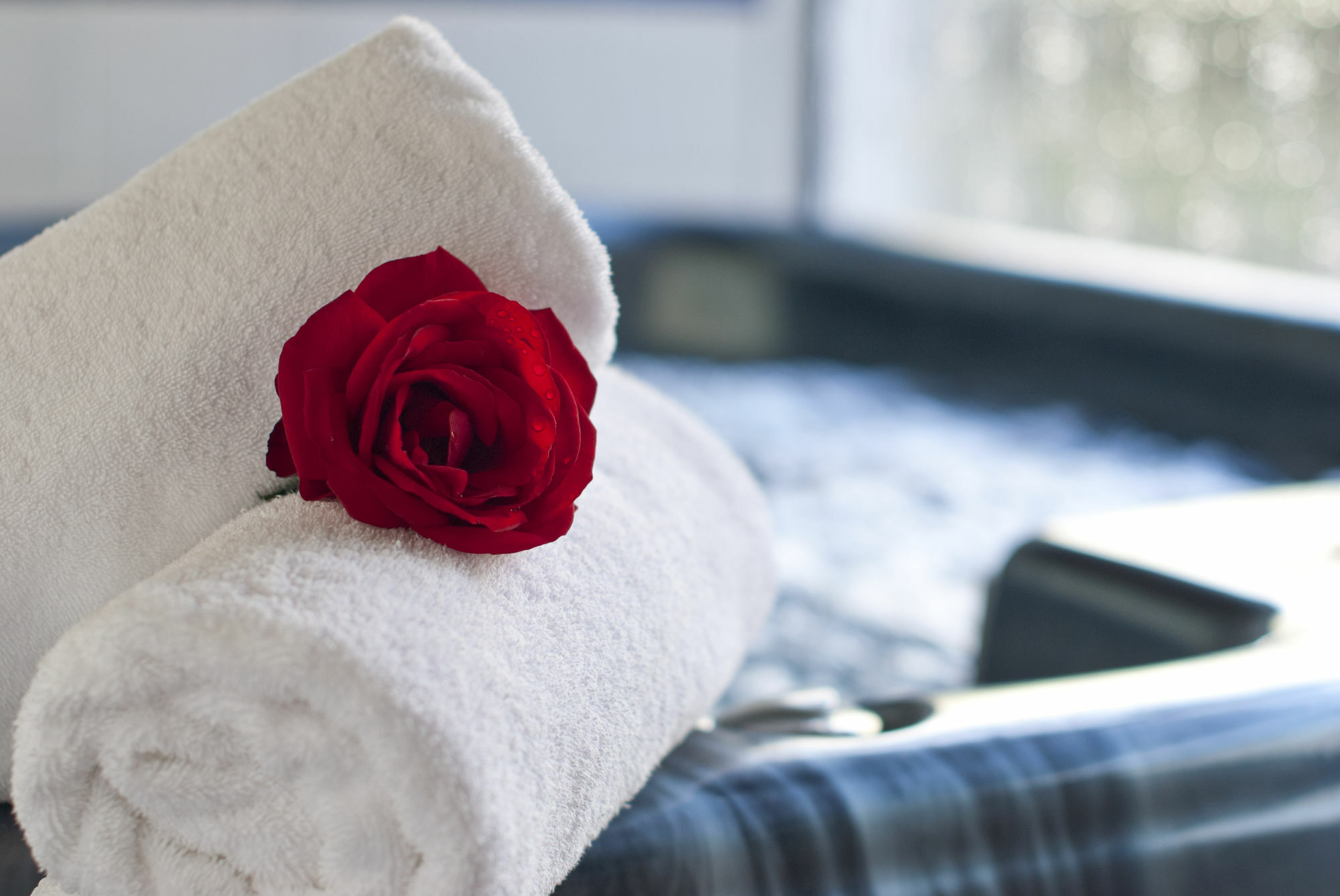 Swiss Chalet Lodge Motel Paihia Zewnętrze zdjęcie