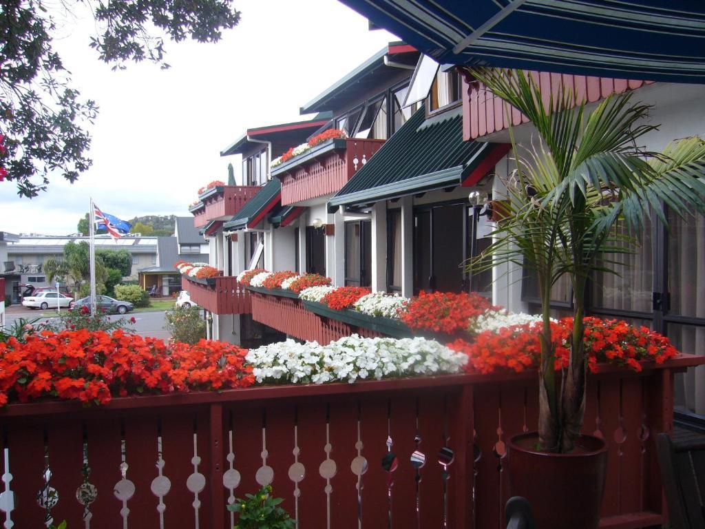 Swiss Chalet Lodge Motel Paihia Pokój zdjęcie